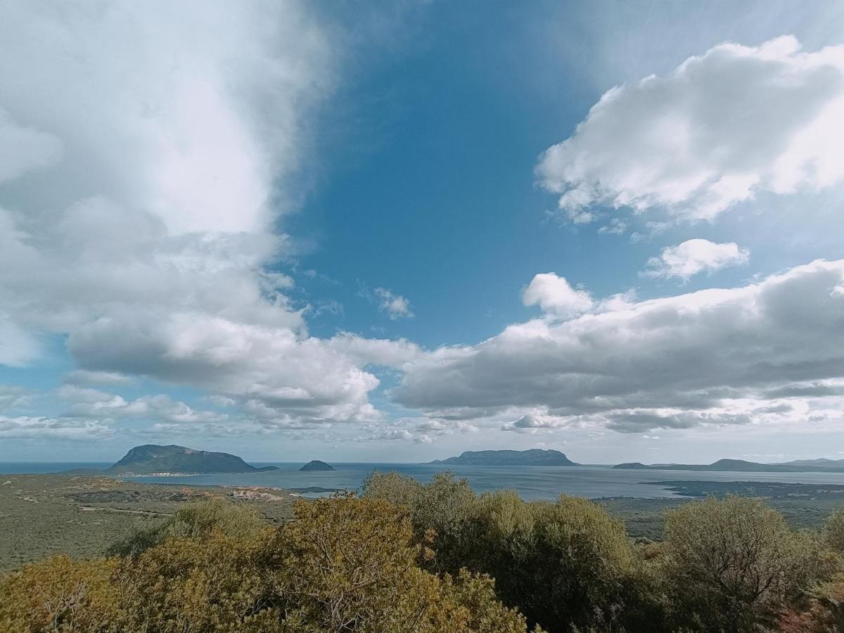 Vgm Olbia