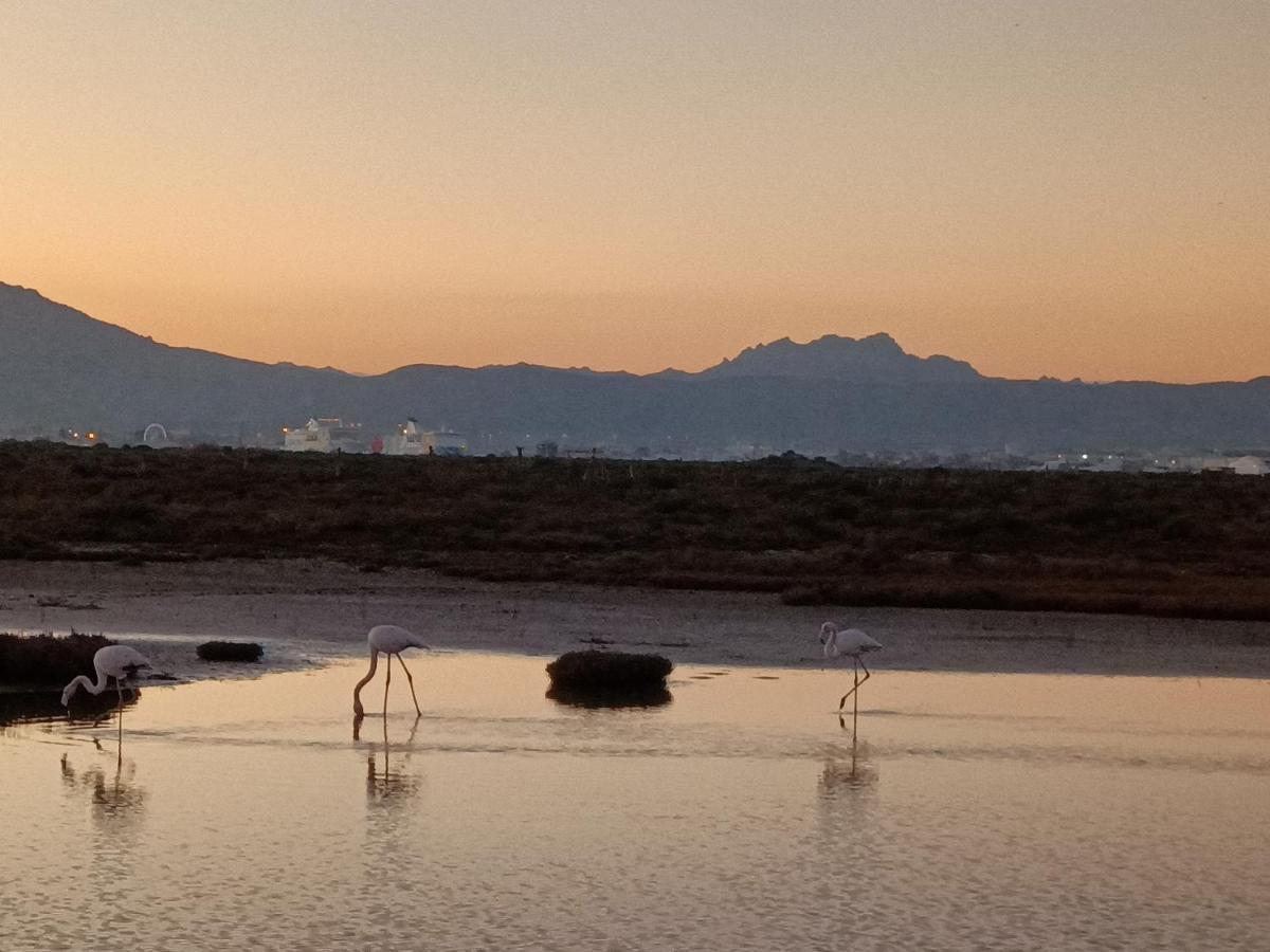 Vgm Olbia